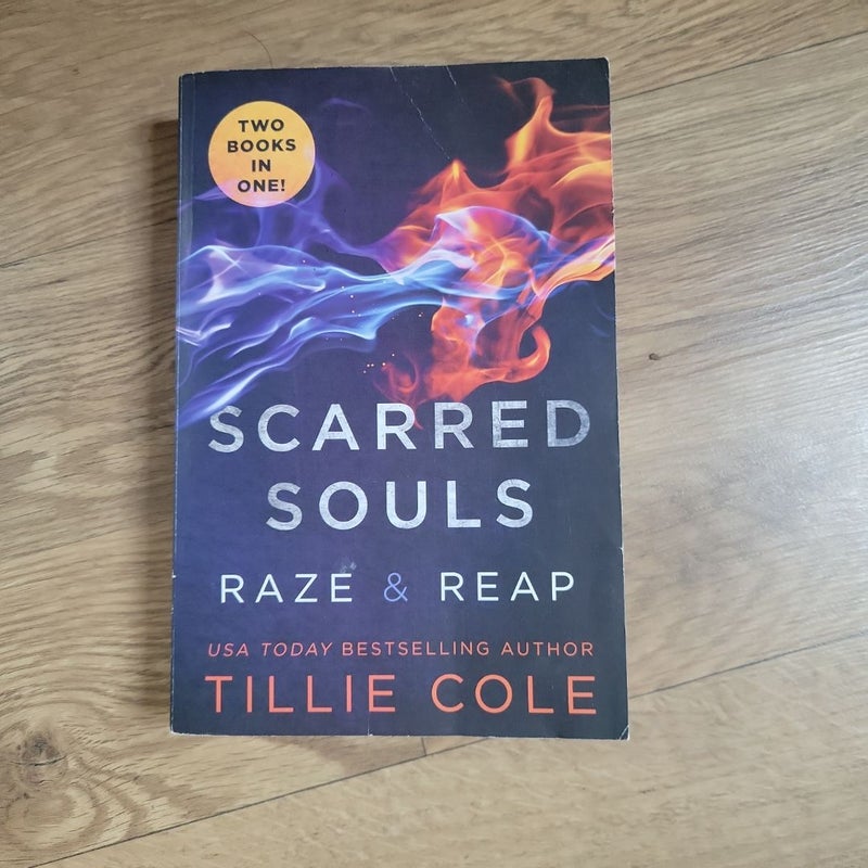 Scarred Souls: Raze and Reap