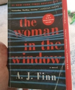 The Woman in the Window