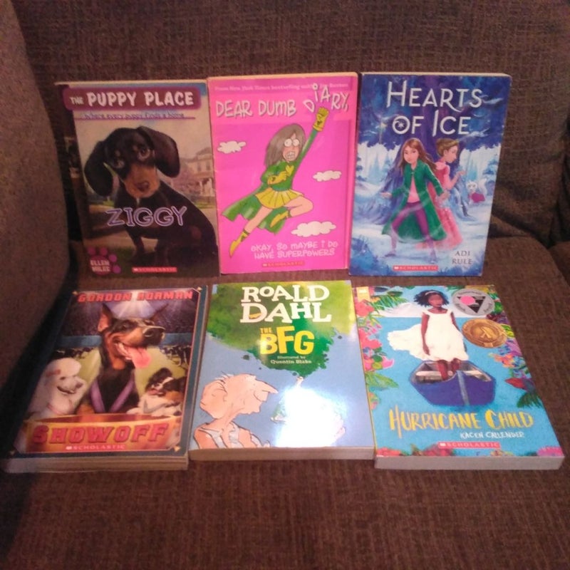 Scholastic book bundle 