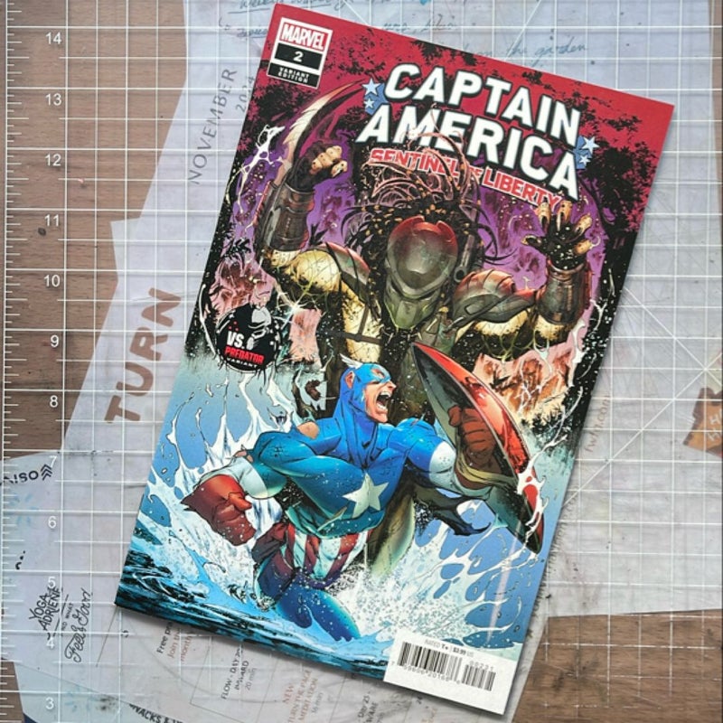 Captain America: Sentinel of Liberty #2