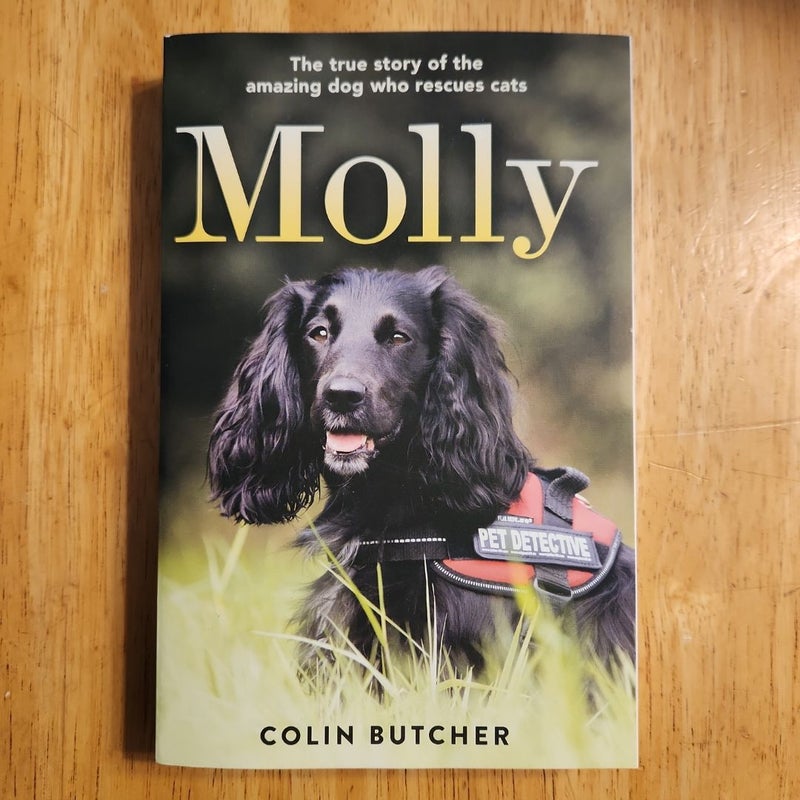 Molly: the True Story of the Amazing Dog Who Rescues Cats