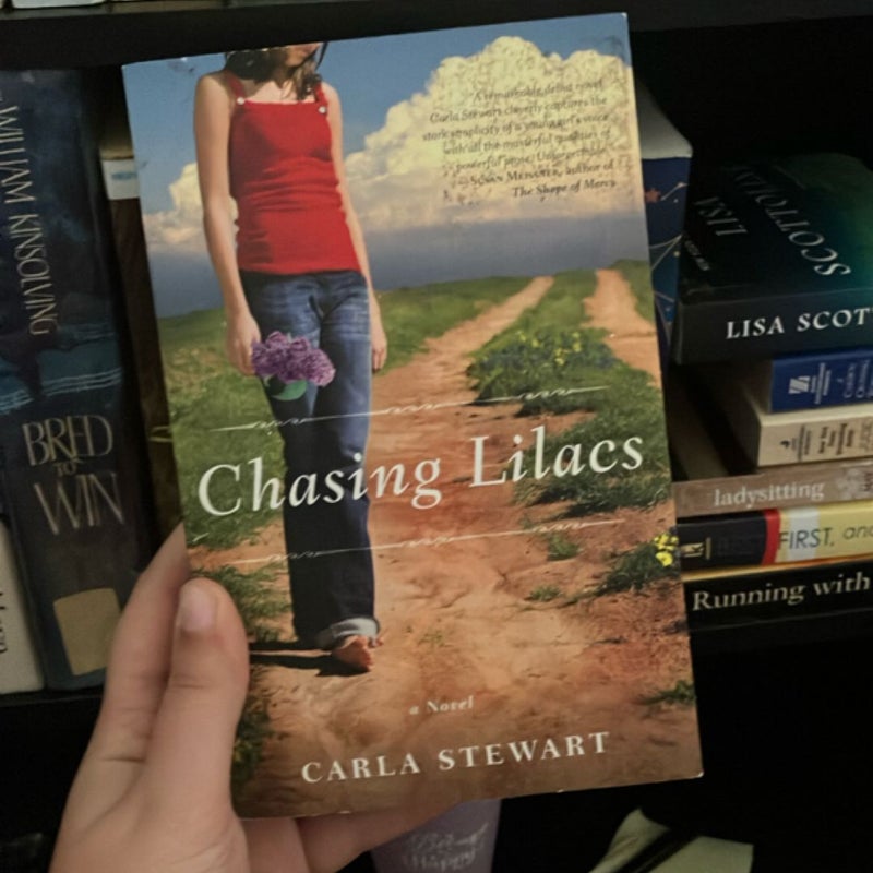 Chasing Lilacs