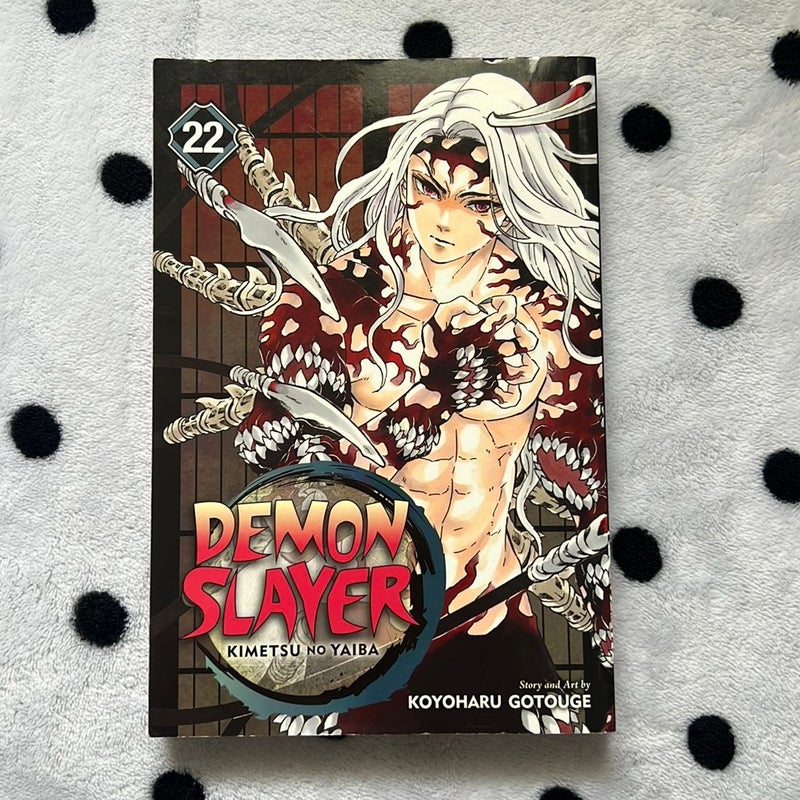 Demon Slayer: Kimetsu No Yaiba, Vol. 22