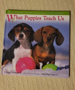 What Puppies Teach Us