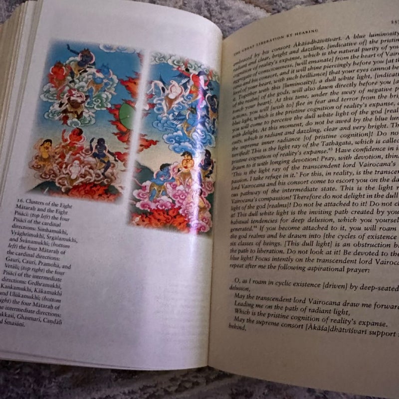 The Tibetan Book of the Dead