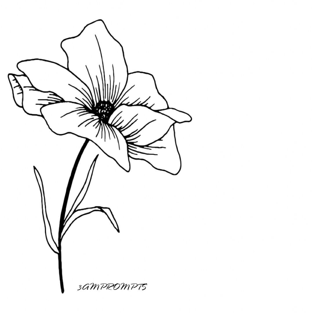 3 am prompts