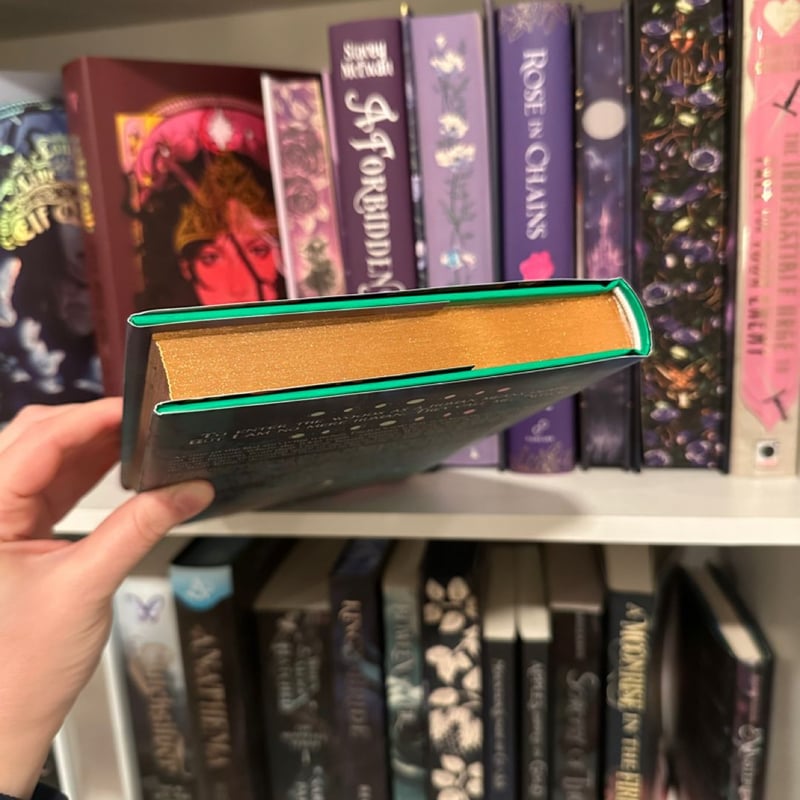 A Dawn with the Wolf Knight