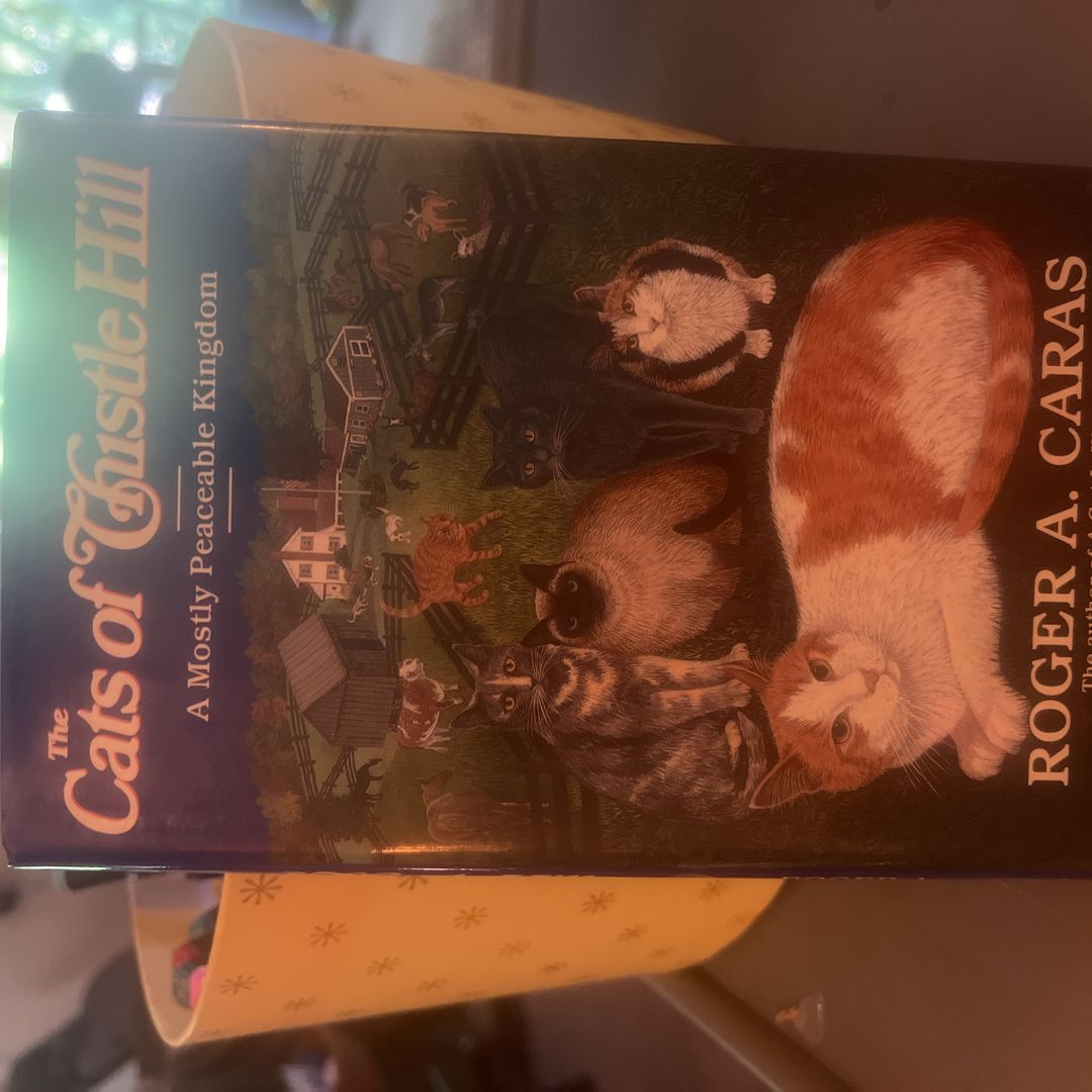 The Cats of Thistle Hill