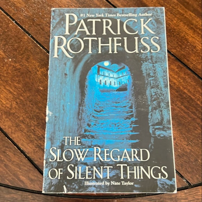 The Slow Regard of Silent Things