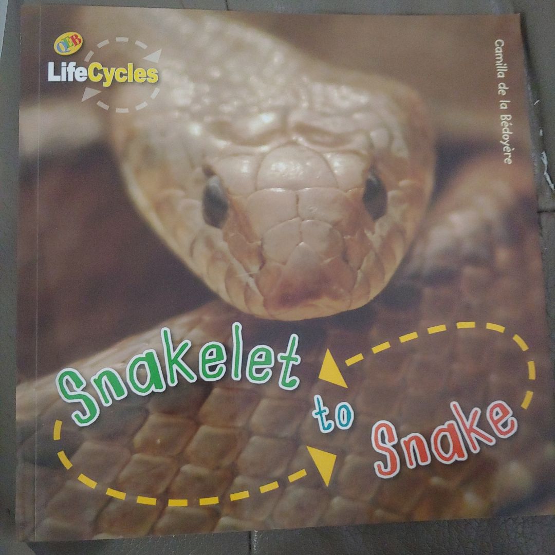 Snakelet to Snake