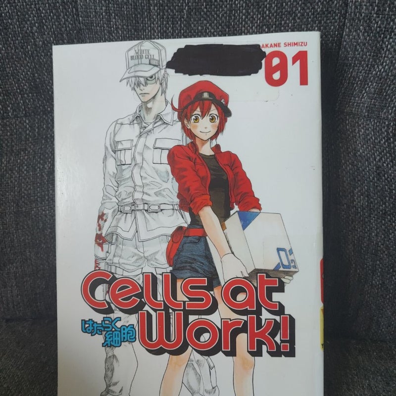 Cells at Work! 1