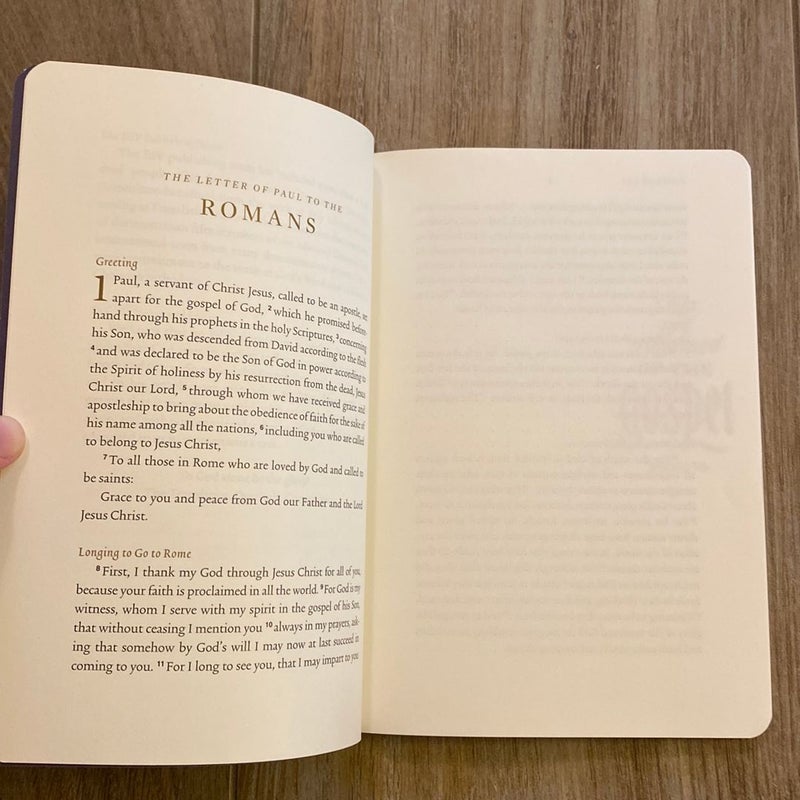 Romans: ESV Illuminated Scripture Journal 