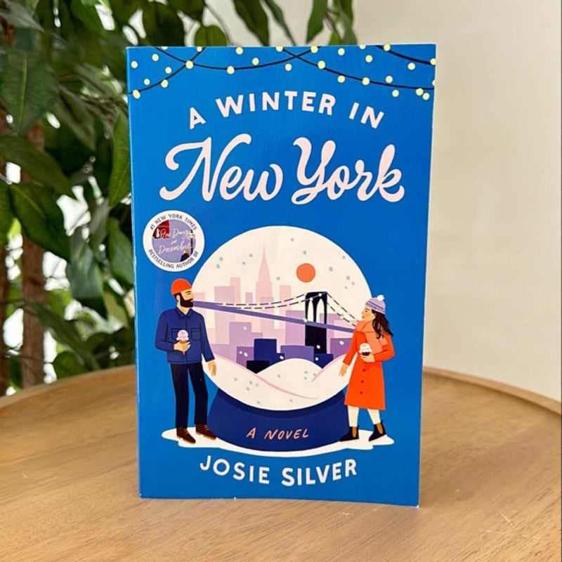 A Winter in New York