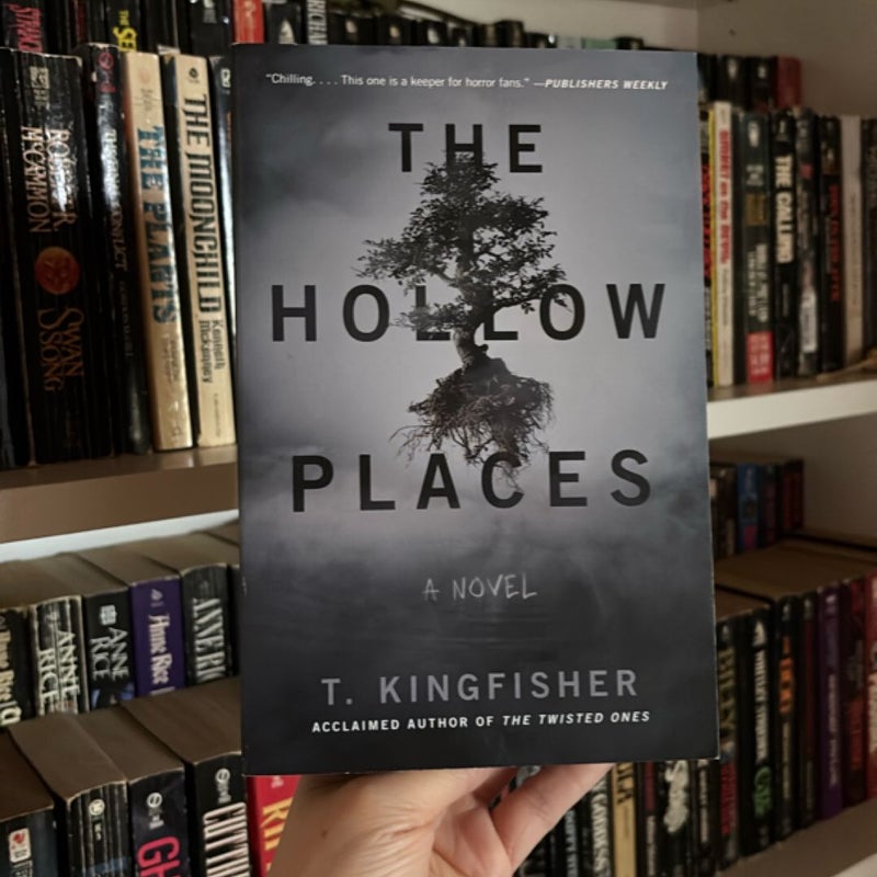 The Hollow Places
