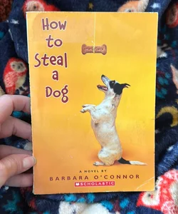 How to Steal a Dog