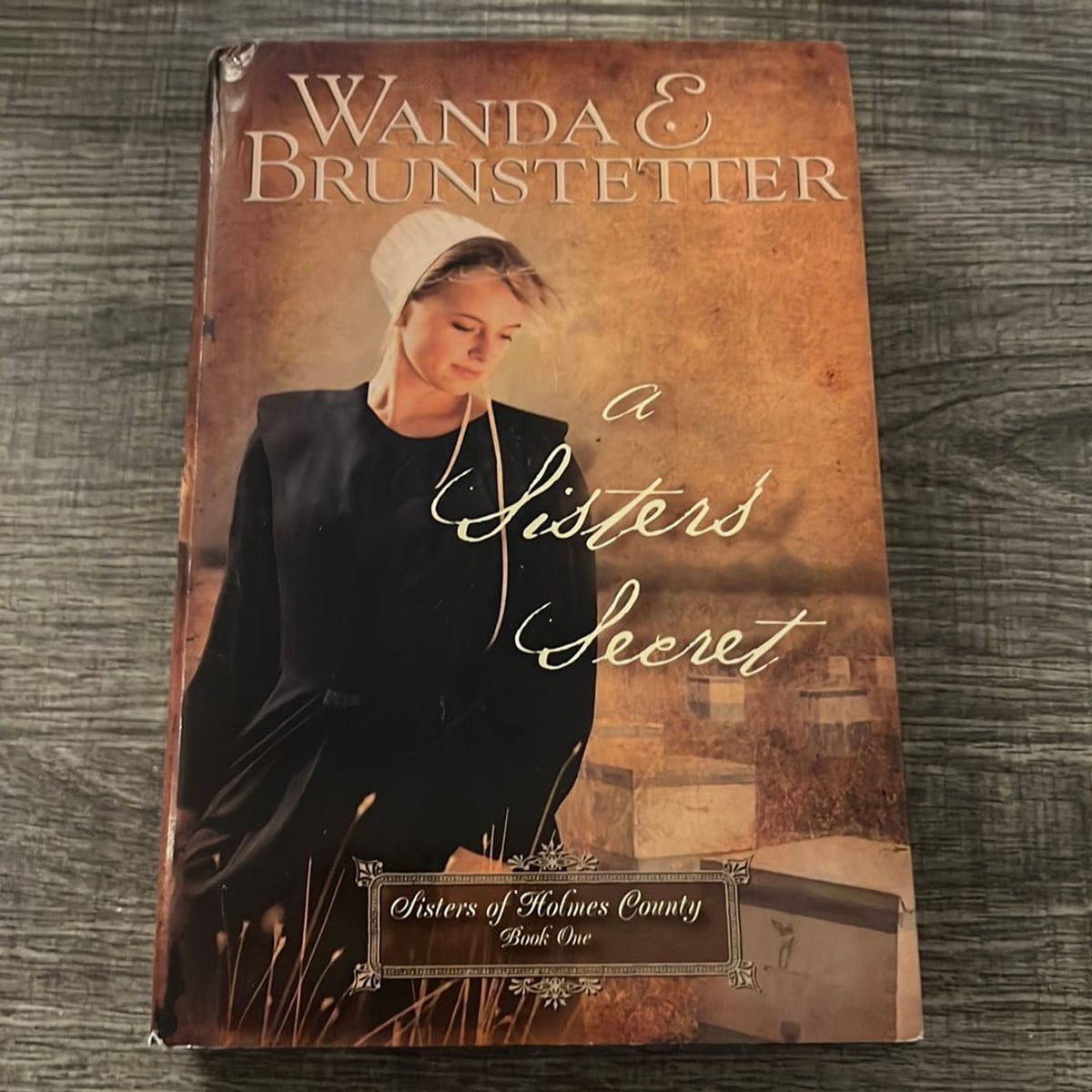 A Sister's Secret by Wanda E. Brunstetter