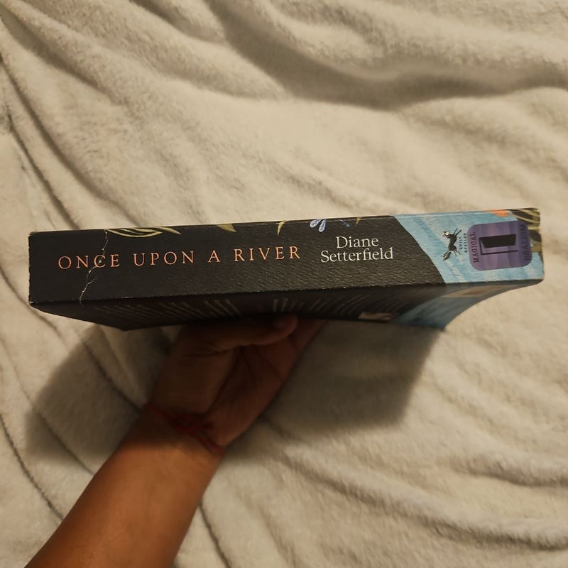 Once upon a River