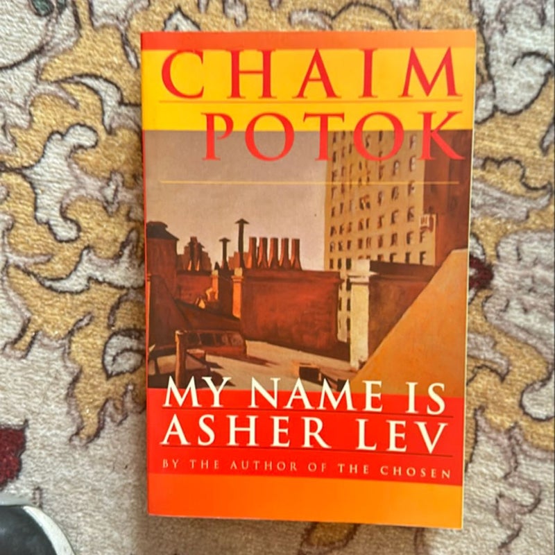 My Name Is Asher Lev