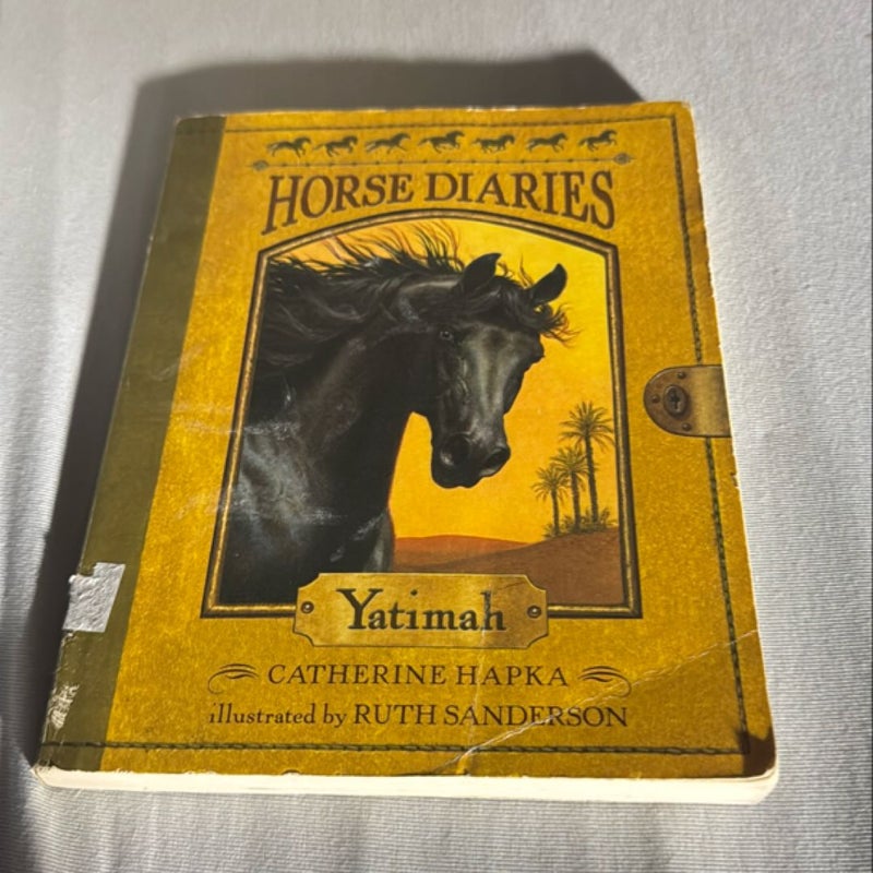 Horse Diaries #6: Yatimah