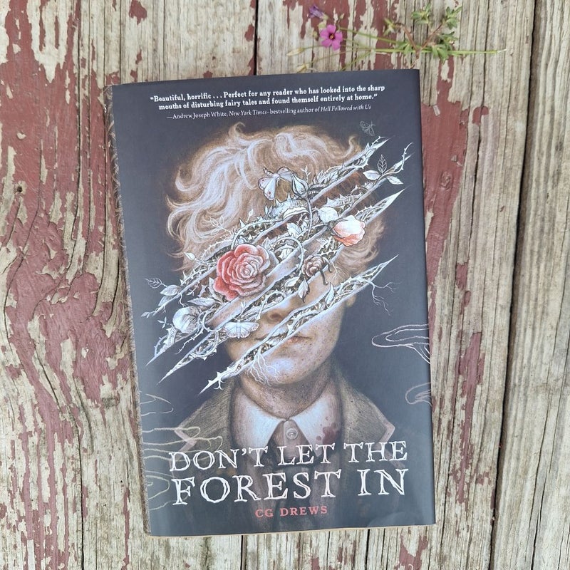 Don't Let the Forest In
