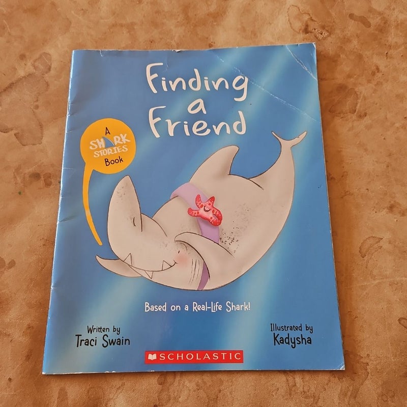 Finding a Friend