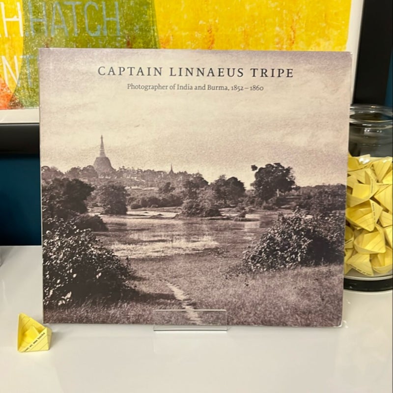 Captain Linnaeus Tripe