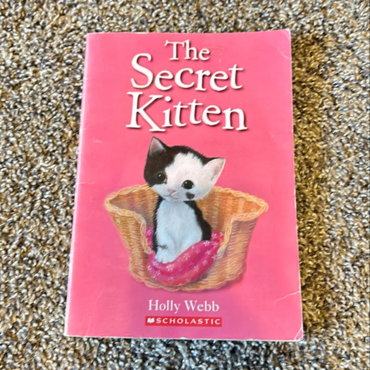 The Secret Kitten by Holly Webb , Paperback | Pangobooks