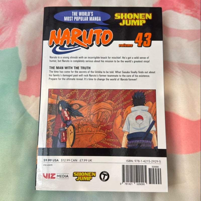 Naruto, Vol. 43