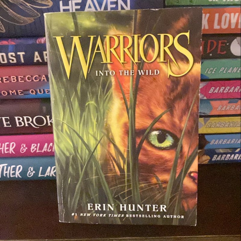 Warriors #1: into the Wild