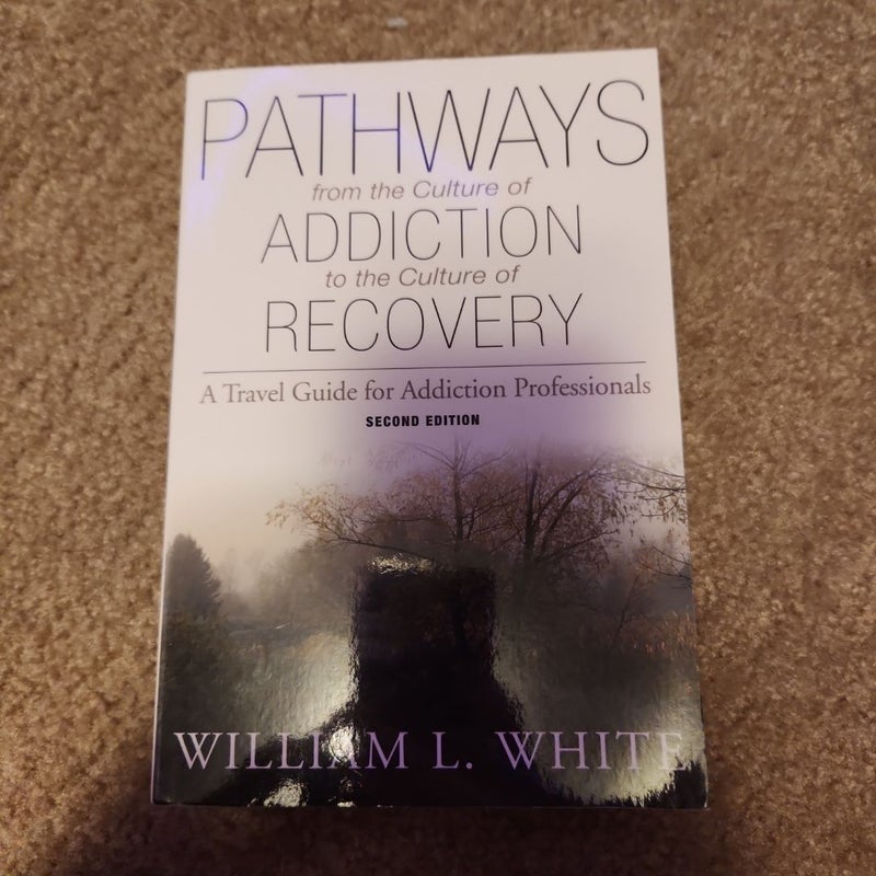 Pathways from the Culture of Addiction to the Culture of Recovery