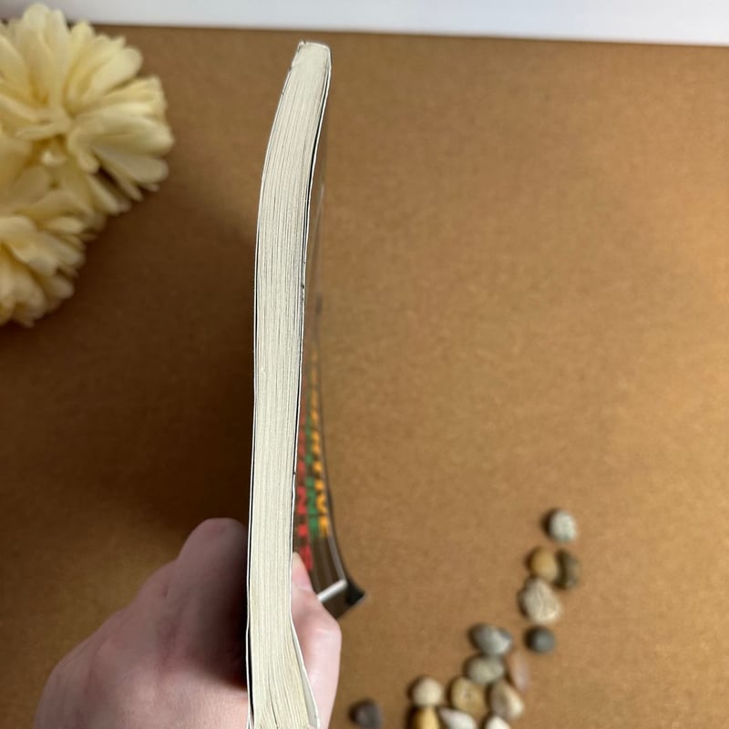 Assertive Discipline for Parents, Revised Edition