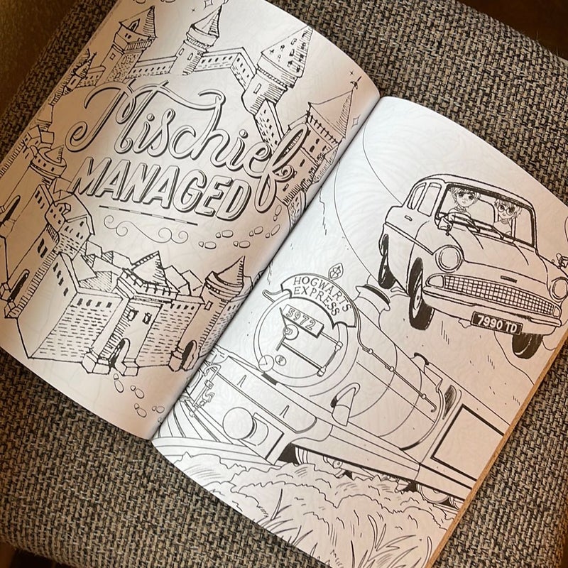 Harry Potter Coloring Book: Polychromos, Inktense, Posca : r/Coloring