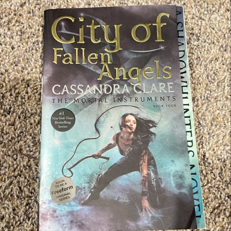 City of Fallen Angels