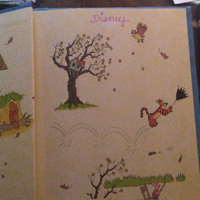 Walt Disney's Winnie-The-Pooh and the Windy Day