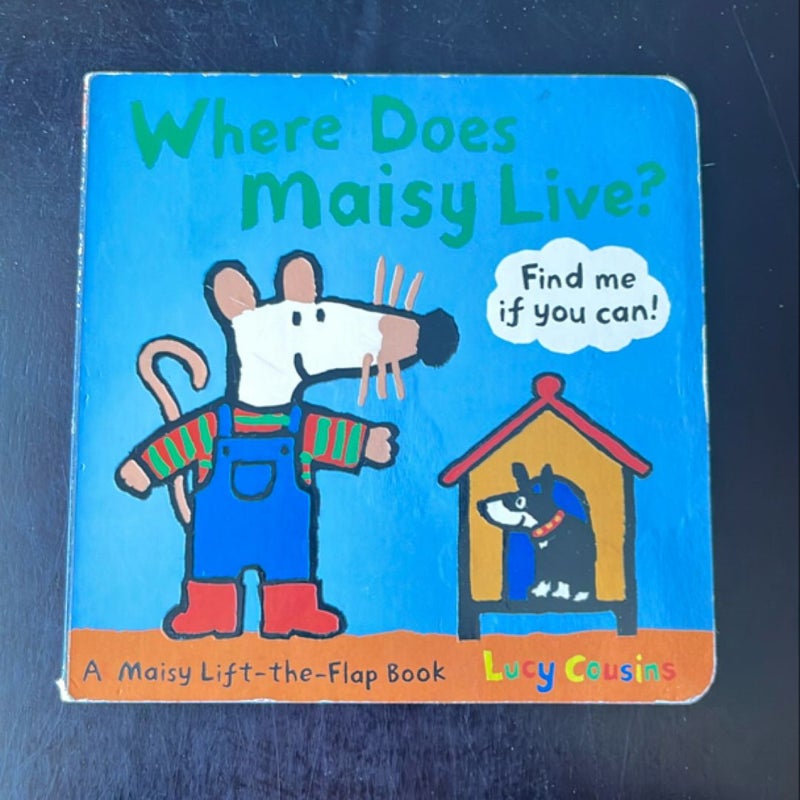 Where Does Maisy Live?