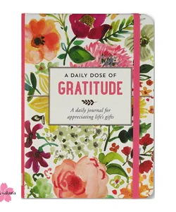 A Daily Dose of Gratitude: Daily Journal
