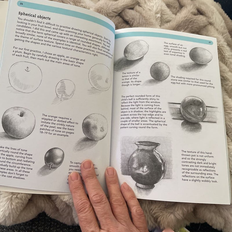 Drawing Still Life