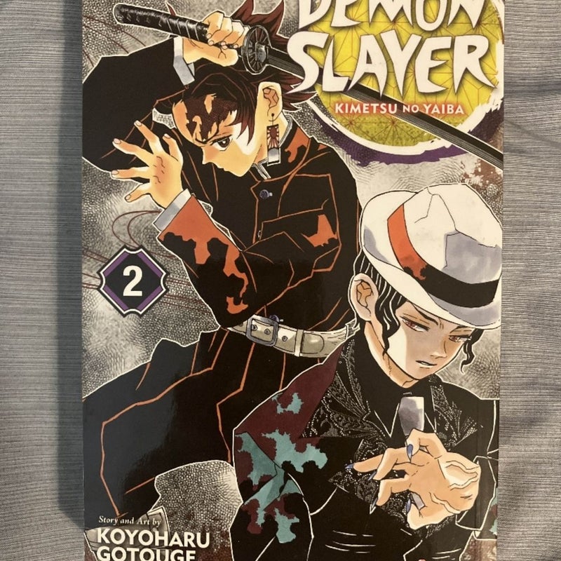 Demon Slayer: Kimetsu No Yaiba, Vol. 2