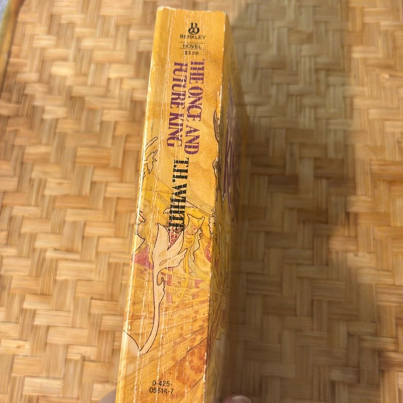 The Once and Future King