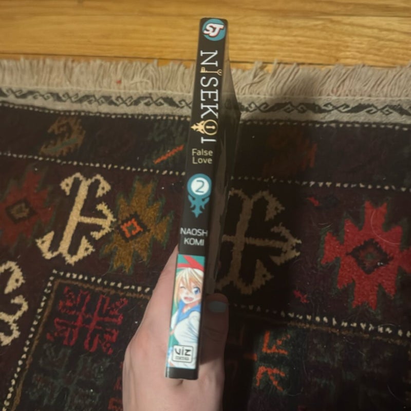 Nisekoi: False Love, Vol. 2