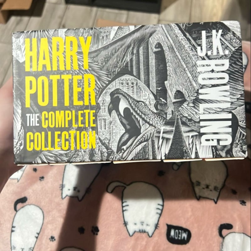 Harry Potter Boxed Set: the Complete Collection (Adult Paperback)