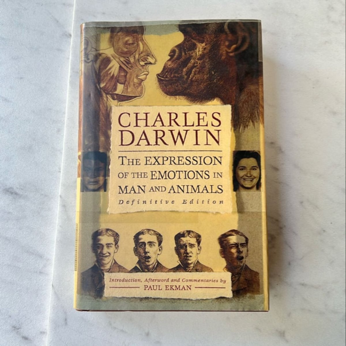 The Expression of the Emotions in Man and Animals by Charles Darwin