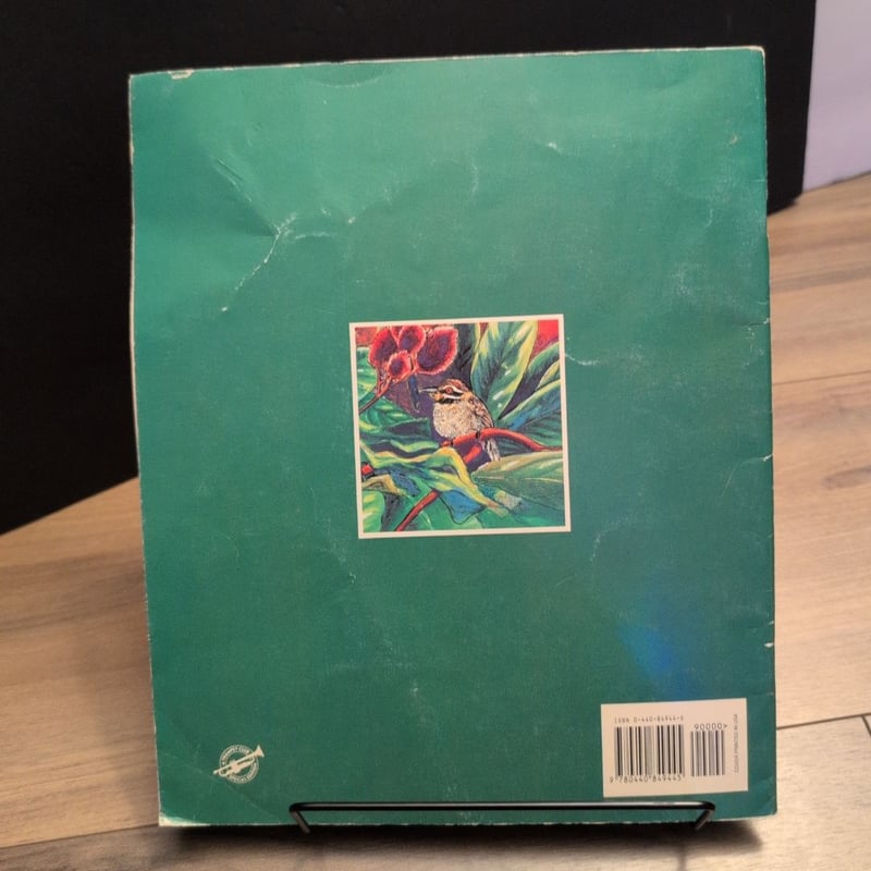 The Great Kapok Tree