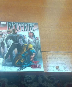 Back blow out slnglelssues lots of 25 All different comic wolverine comic 
