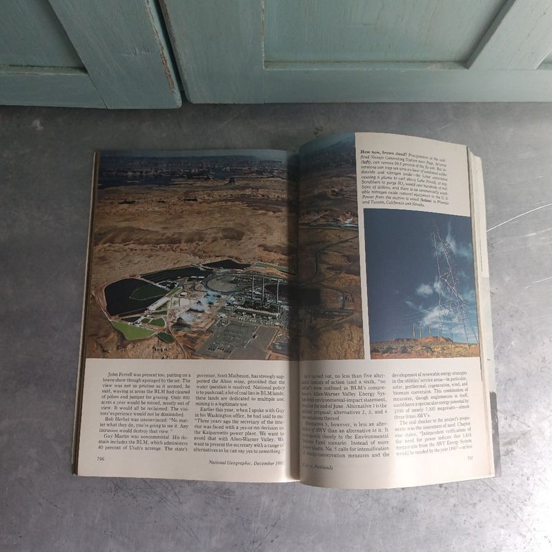 National Geographic - Vol. 158, No. 6