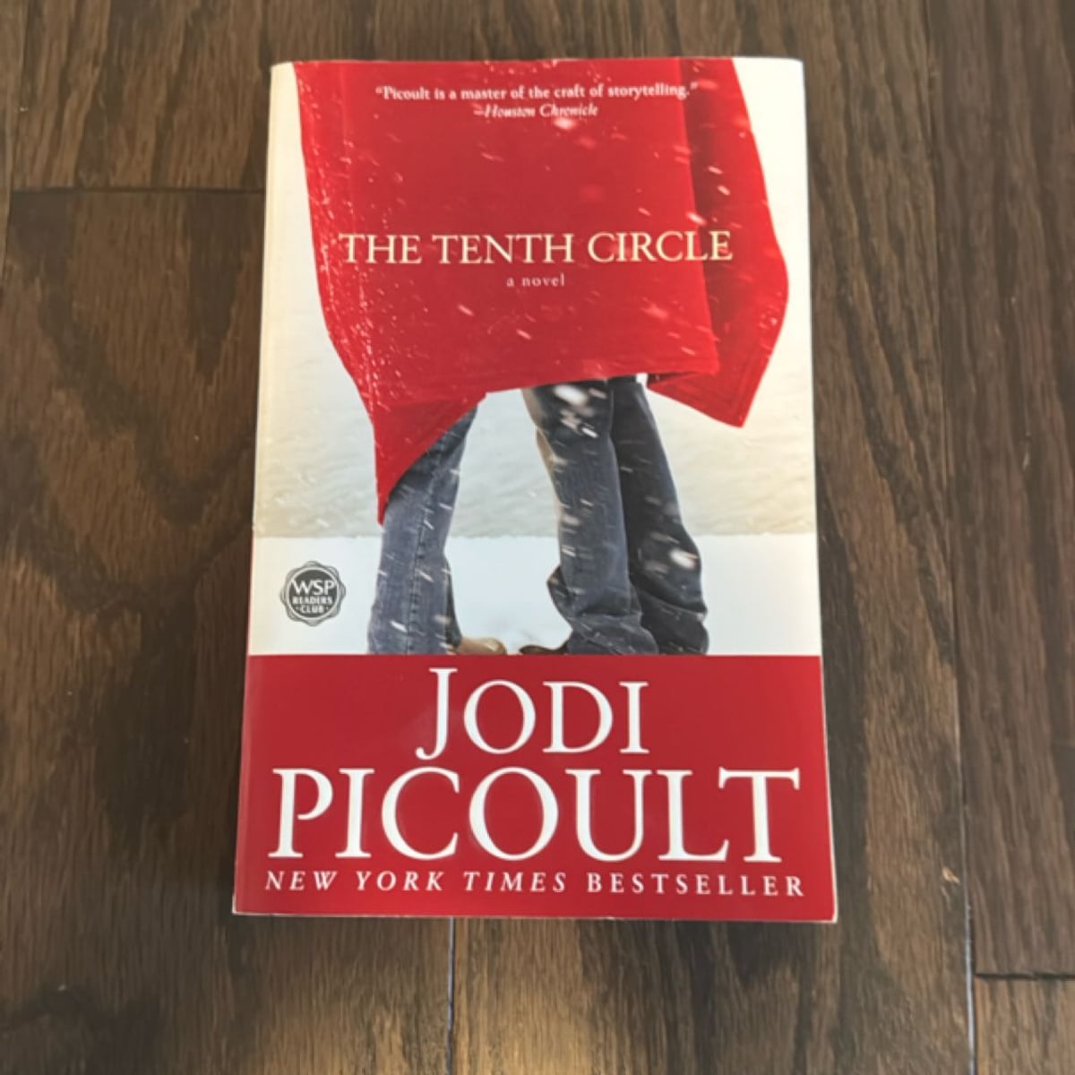 The Tenth Circle by Jodi Picoult