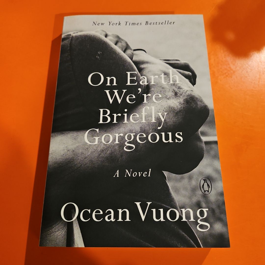 On Earth We're Briefly Gorgeous