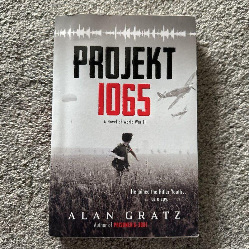 Projekt 1065