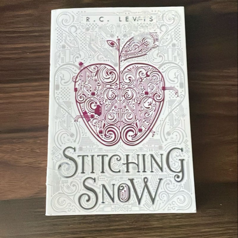 Stitching Snow