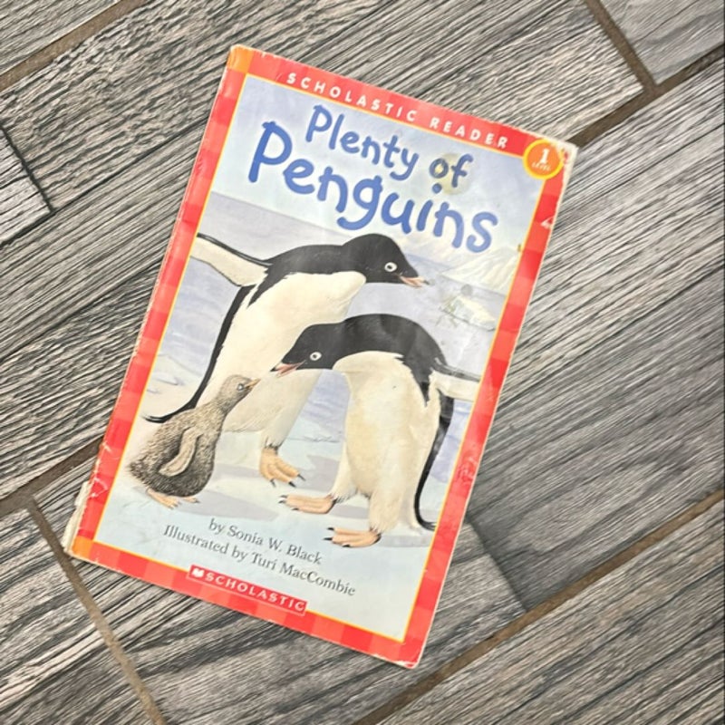 Plenty of penguins